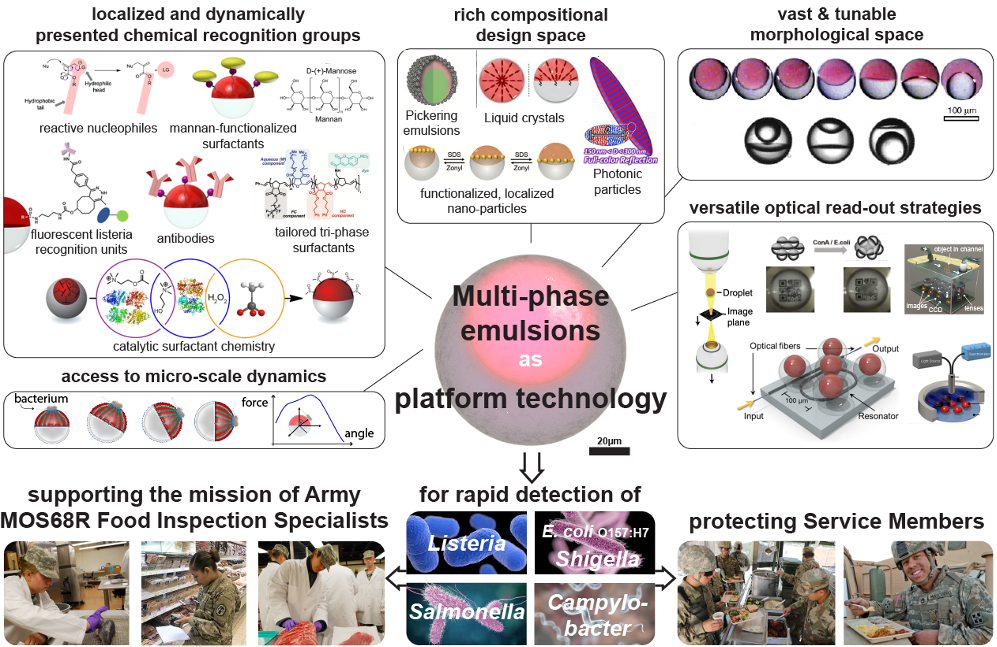 Multiphase emulsions: a versatile material platform for nano-scale biochemical recognition combined with morphological transduction and amplification for macro-scale optical readout of the presence of trace amounts of pathogens. 