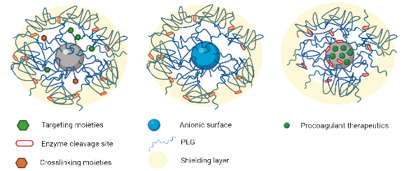 L–R: Nanoparticle with targeting and crosslinking moieties shielded by enzyme-cleavable layer; Anionic surface shielded by enzyme-cleavable layer; Enzyme-mediated controlled release of procoagulant therapeutics.