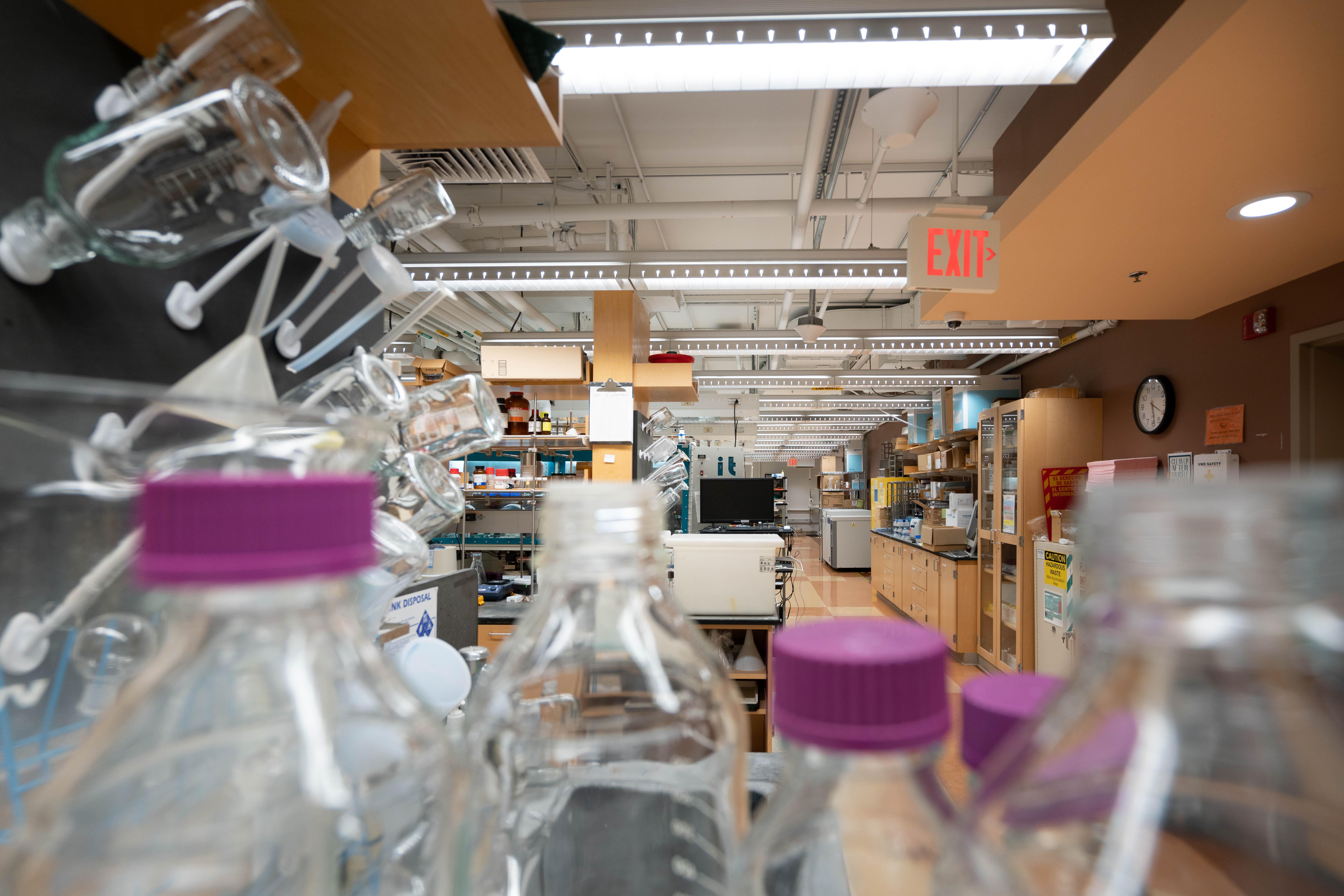A photo of an ISN lab through a cluster of bottles