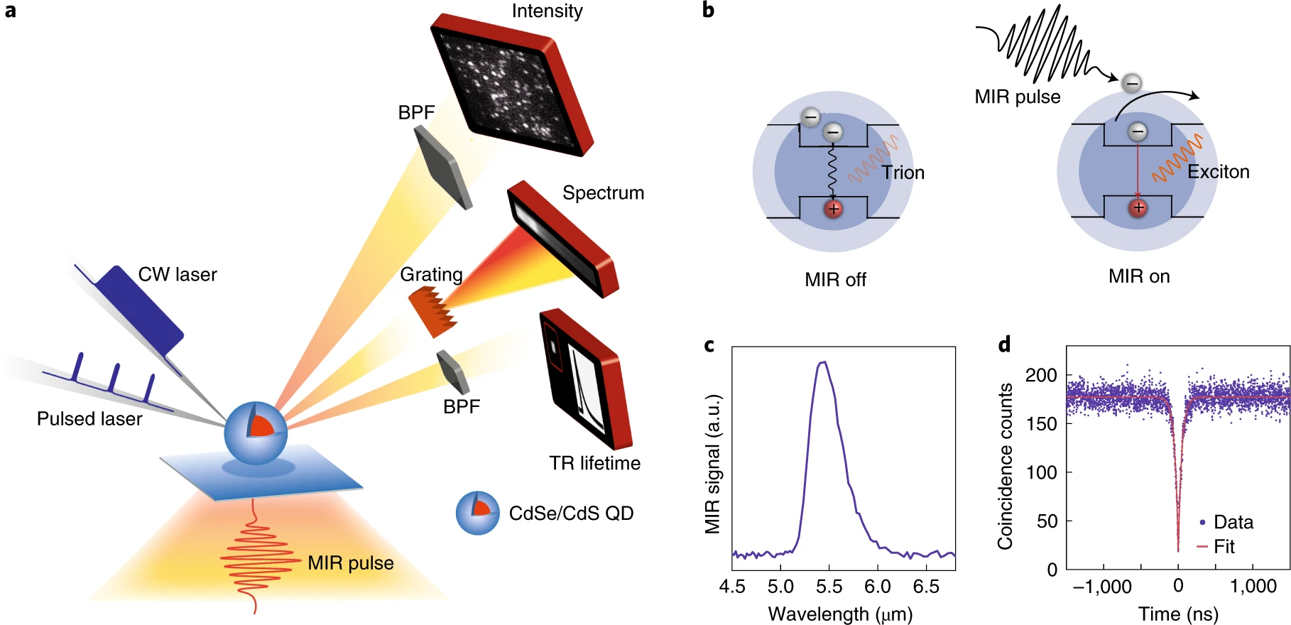 Schematic illustration of light sources and types, featuring CdSe/CdS QD with MIR pulse excitation and PL measurement techniques.