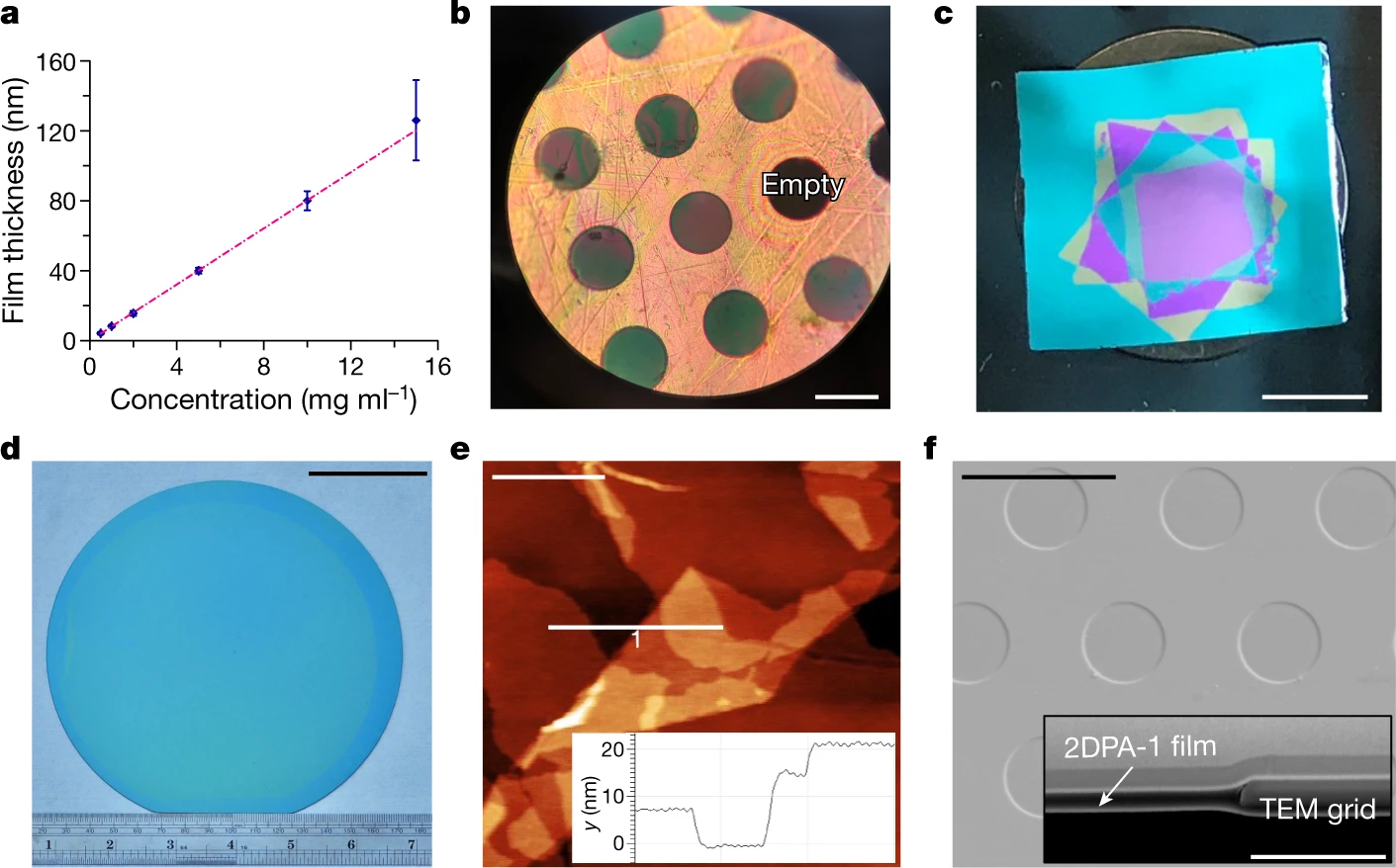 A collection of images depicting nanofilms, thickness plots, and SEM images of 2DPA-1 films.