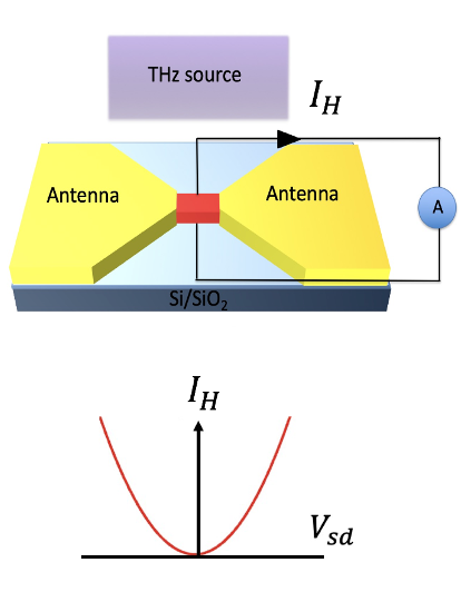 Schematic of a nonlinear Hall THz photodetector using ferroelectric topological materials that breaks the “THz Gap” and enables sensitive detection over a wide  range of frequencies.