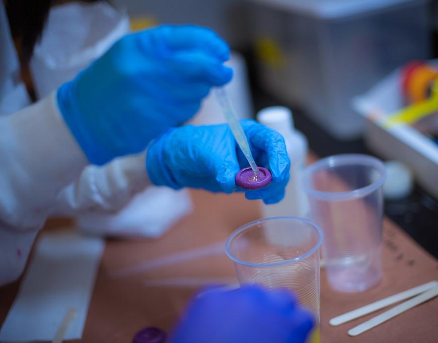 Student Hands in the Wet Lab. (Image: Gretchen Ertl)