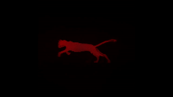 A gif made from a VR imaging movie showing a running cat. The near-eye display has a refresh rate of 60 Hz.