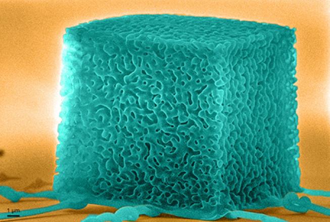 Three-Dimensional Nanoarchitected Hexagonal Boron Nitride imaged by Dr. James Surjadi