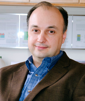 Professor Vladimir Bulović (Photo: Maria E. Aglietti/Materials Processing Center)